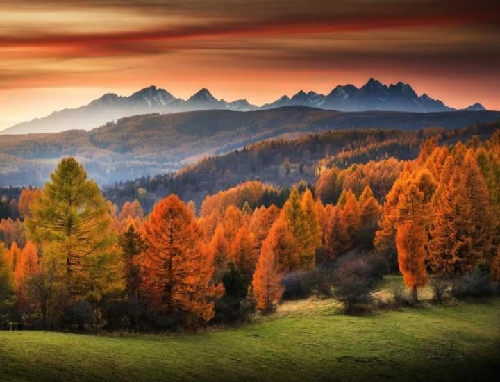Tatry Panorama Apartmany Tatragolf タトランスカ・ ロムニツァ エクステリア 写真